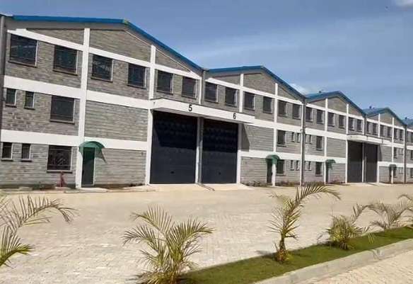 WhatsApp Image 2024 07 10 at 10.47.29