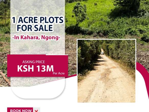 WhatsApp Image 2025 01 22 at 14.45.32