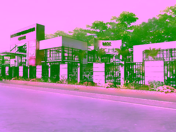 WhatsApp Image 2026 03 26 at 2.48.12 PM